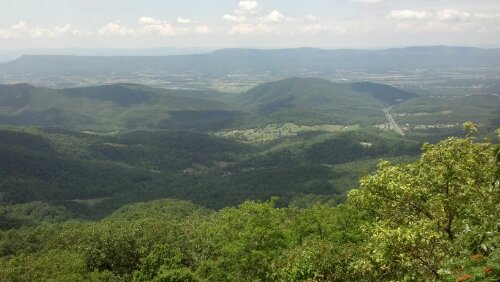 IMG_20130622_140846_455.jpg image