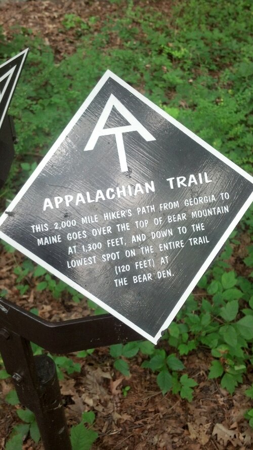 IMG_20130807_161313_002.jpg image