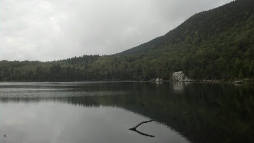 IMG_20130901_110248_860.jpg image