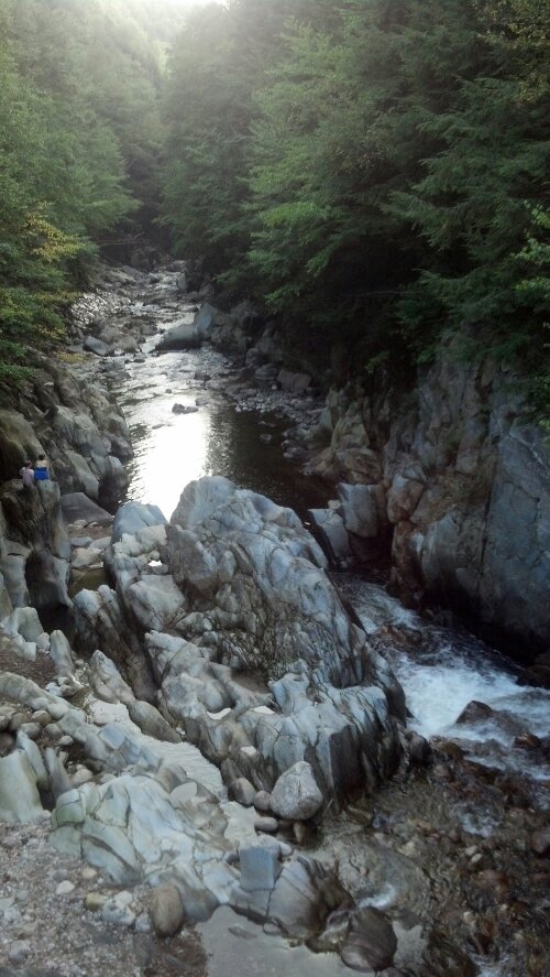 IMG_20130901_182731_057.jpg image
