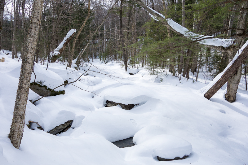 The Coppermine Trail clmbed slowly and steadily uphill next to Coppermine Brook