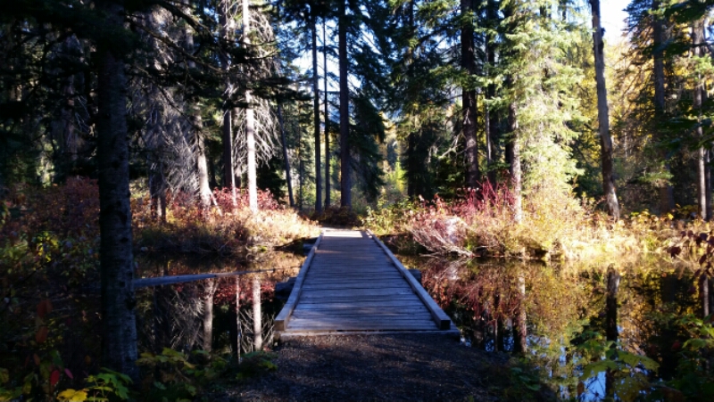 20151001_084218.jpg image